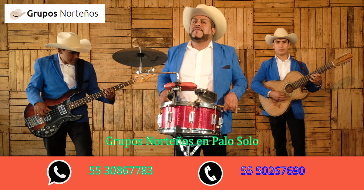 Precios Norteños en Palo Solo